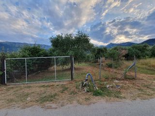 Οικόπεδο 1.750 τ.μ. για πώληση, Ν. Καβάλας, Θάσος-thumb-5