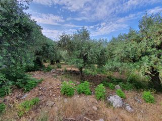 Οικόπεδο 1.750 τ.μ. για πώληση, Ν. Καβάλας, Θάσος-thumb-1