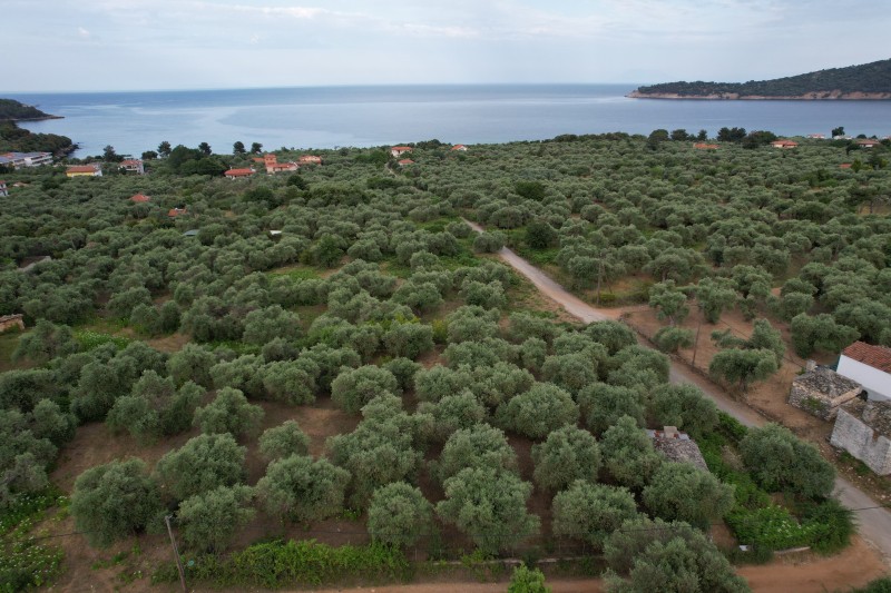 Οικόπεδο 1.750 τ.μ. για πώληση, Ν. Καβάλας, Θάσος