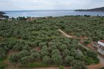 Land plot 1.750sqm for sale-Thasos » Koinira