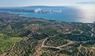 Οικόπεδο 688 τ.μ. για πώληση, Αργολίδα, Κρανίδι-thumb-24