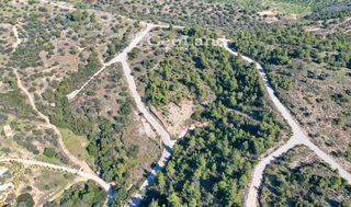 Οικόπεδο 688 τ.μ. για πώληση, Αργολίδα, Κρανίδι-thumb-23