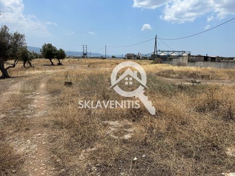 Αγροτεμάχια 7.500τ.μ. για πώληση-Ασπρόπυργος » Πάτημα