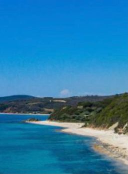 Land plot 10.000sqm for sale-Stagiron - Akanthou » Ierissos