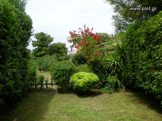 Studio / γκαρσονιέρα 40 τ.μ. για ενοικίαση, Αττική - Υπόλοιπο, Ανάβυσσος-thumb-7