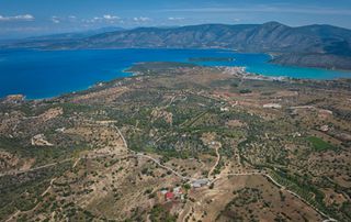 Αγροτεμάχια 6.336 τ.μ. για πώληση, Αργολίδα, Κρανίδι-thumb-10