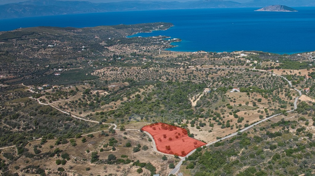 Αγροτεμάχια 6.336 τ.μ. προς πώληση, Θυνί