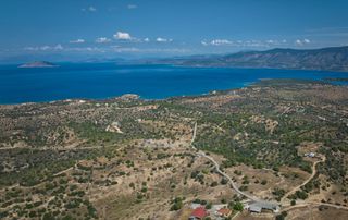 Αγροτεμάχια 6.336 τ.μ. για πώληση, Αργολίδα, Κρανίδι-thumb-2