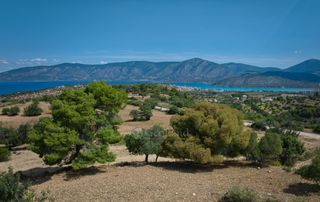 Αγροτεμάχια 6.336 τ.μ. για πώληση, Αργολίδα, Κρανίδι-thumb-5