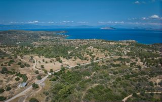Αγροτεμάχια 6.336 τ.μ. για πώληση, Αργολίδα, Κρανίδι-thumb-12