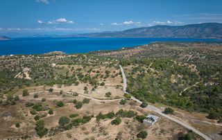 Αγροτεμάχια 6.336 τ.μ. για πώληση, Αργολίδα, Κρανίδι-thumb-13