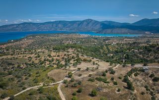 Αγροτεμάχια 6.336 τ.μ. για πώληση, Αργολίδα, Κρανίδι-thumb-14