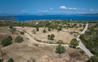 Αγροτεμάχια 6.336 τ.μ. για πώληση, Αργολίδα, Κρανίδι-thumb-21