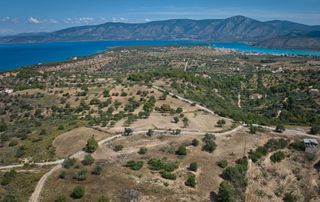 Αγροτεμάχια 6.336 τ.μ. για πώληση, Αργολίδα, Κρανίδι-thumb-18