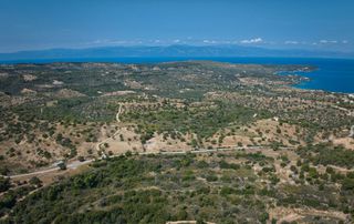Αγροτεμάχια 6.336 τ.μ. για πώληση, Αργολίδα, Κρανίδι-thumb-16