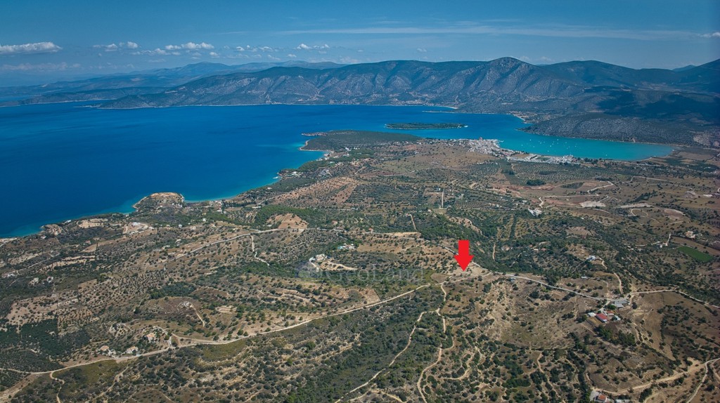 Αγροτεμάχια 6.336 τ.μ. προς πώληση, Θυνί