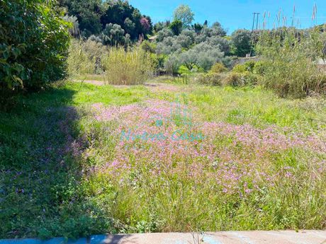 Οικόπεδο 4.000 τ.μ. για πώληση