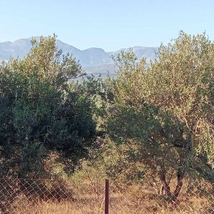 Land plot 900 sqm for sale, Heraklion Prefecture, Moires