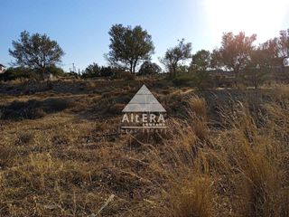 Αγροτεμάχια 2.130 τ.μ. για πώληση