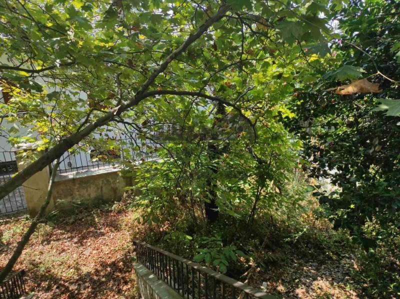 Μονοκατοικία 200 τ.μ. πρός πώληση, Μαγνησία, Πορταριά