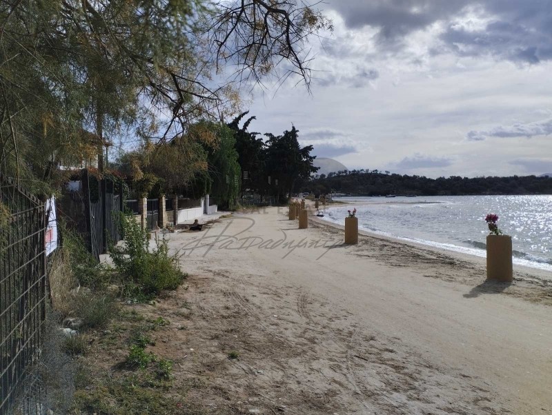 Αγροτεμάχια 627 τ.μ. προς πώληση, Βελανιδιά Νέας Αγχιάλου