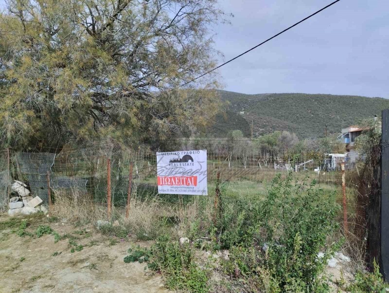 Αγροτεμάχια 627 τ.μ. προς πώληση, Βελανιδιά Νέας Αγχιάλου