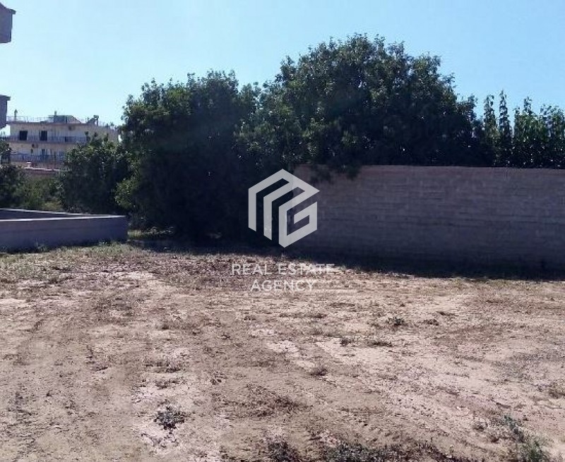 Αγροτεμάχια 668 τ.μ. προς πώληση, Ψαχνά
