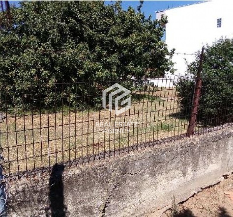 Αγροτεμάχια 668 τ.μ. προς πώληση, Ψαχνά