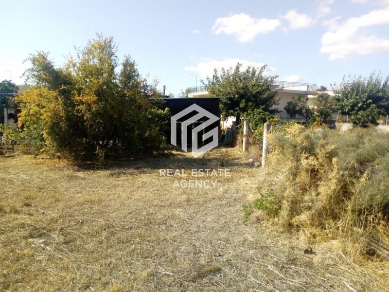 Αγροτεμάχια 668 τ.μ. προς πώληση, Ψαχνά