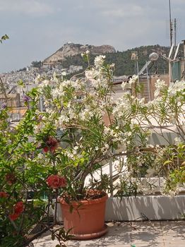 Μεζονέτα 102 τ.μ. για πώληση
