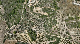 Αγροτεμάχια 40.000 τ.μ. προς πώληση, Κουνούπι-thumb-13