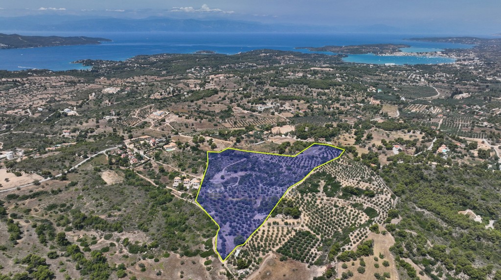 Αγροτεμάχια 40.000 τ.μ. προς πώληση, Κουνούπι