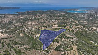 Αγροτεμάχια 40.000 τ.μ. προς πώληση, Κουνούπι-thumb-1