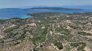 Αγροτεμάχια 40.000 τ.μ. προς πώληση, Κουνούπι-thumb-16
