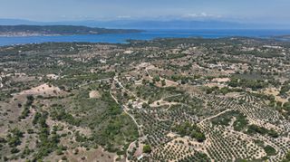 Αγροτεμάχια 40.000 τ.μ. προς πώληση, Κουνούπι-thumb-18