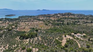 Αγροτεμάχια 40.000 τ.μ. προς πώληση, Κουνούπι-thumb-7