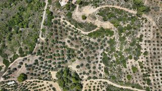 Αγροτεμάχια 40.000 τ.μ. προς πώληση, Κουνούπι-thumb-8
