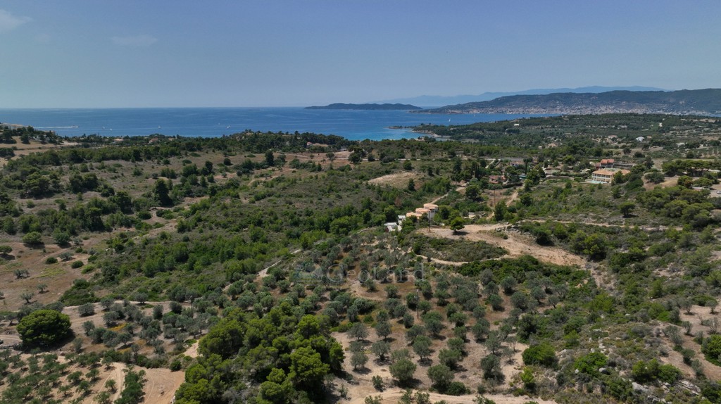 Αγροτεμάχια 40.000 τ.μ. προς πώληση, Κουνούπι