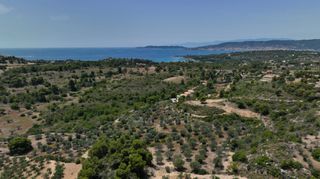 Αγροτεμάχια 40.000 τ.μ. προς πώληση, Κουνούπι-thumb-4