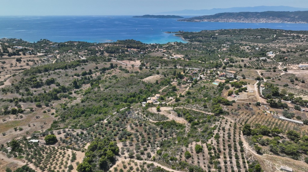 Αγροτεμάχια 40.000 τ.μ. προς πώληση, Κουνούπι