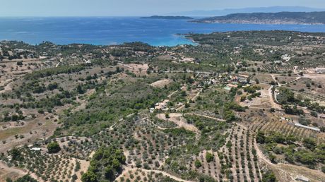 Αγροτεμάχια 40.000τ.μ. για πώληση-Κρανίδι » Κουνούπι