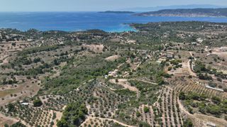 Αγροτεμάχια 40.000 τ.μ. για πώληση