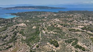 Αγροτεμάχια 40.000 τ.μ. προς πώληση, Κουνούπι-thumb-17