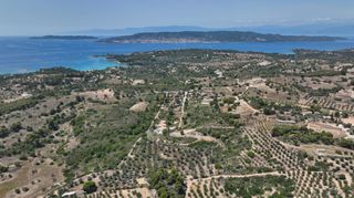 Αγροτεμάχια 40.000 τ.μ. προς πώληση, Κουνούπι-thumb-15