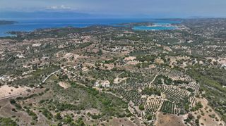 Αγροτεμάχια 40.000 τ.μ. προς πώληση, Κουνούπι-thumb-21