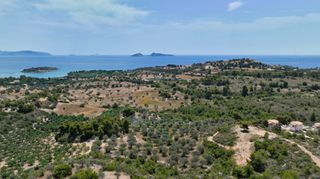 Αγροτεμάχια 40.000 τ.μ. προς πώληση, Κουνούπι-thumb-9