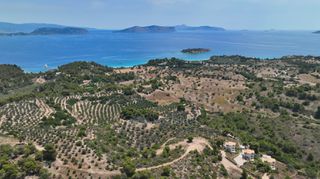 Αγροτεμάχια 40.000 τ.μ. προς πώληση, Κουνούπι-thumb-2
