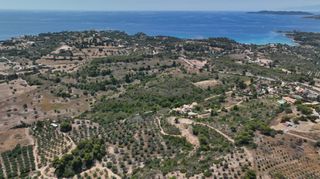 Αγροτεμάχια 40.000 τ.μ. προς πώληση, Κουνούπι-thumb-14