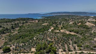 Αγροτεμάχια 40.000 τ.μ. προς πώληση, Κουνούπι-thumb-12