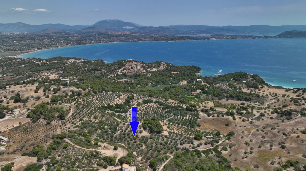 Αγροτεμάχια 40.000 τ.μ. προς πώληση, Κουνούπι